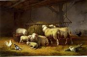 unknow artist Sheep 136 oil painting reproduction